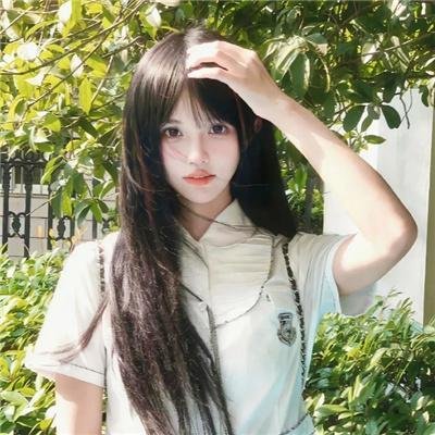 至上之法