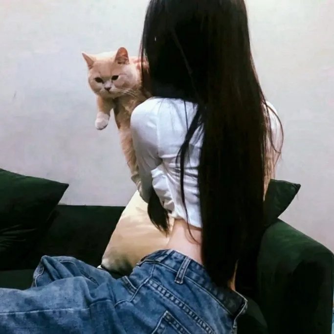 纳士维之歌